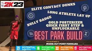 DEMIGOD INSIDE-OUT POINT FOWARD PARK BUILD! 2K23 NEXT GEN
