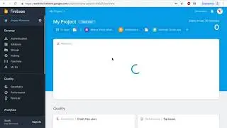 Config Firebase Google / Phone Login