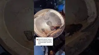 другие промывки в профиле 