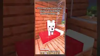 Minecraft dog END moment 💀 