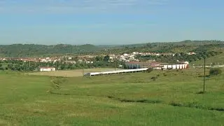 Amieira