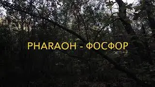 Pharaoh-фосфор