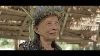 Jaguar Grandfather