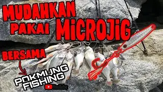 Memancing Gelama pakai microjig [Bersama Pokmung Fishing]