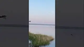 Обрести свободу, значит быть готовым к будущему