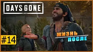 Days Gone ➤ Жизнь После ➤ Прохождение #14