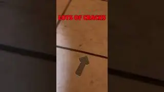 Lots of cracks in tile floor? Could be structural. Take a look.