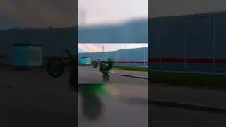 Ааа у вас какая порода? #мото #мотивациянауспех