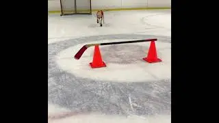 Dog Performs Crossover Skating Trick Smoothly While Practicing In Ice Rink