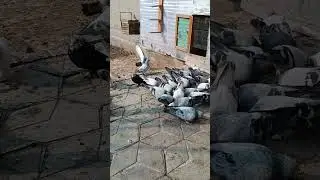 25 января 2023 г.