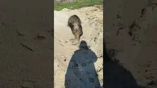 Одного слоя пудры достаточно ! Сказала Тася.