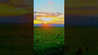 Прекрасное путешествие на Алтай 
