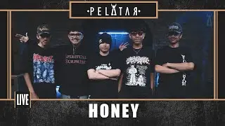 Honey // PELATAR LIVE