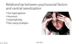 Physio U   Centralized Pain Mentoring Minutes