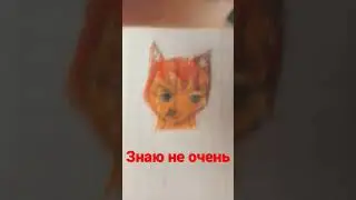 #memes