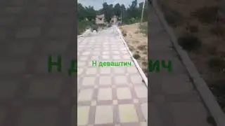 18 августа 2024 г.