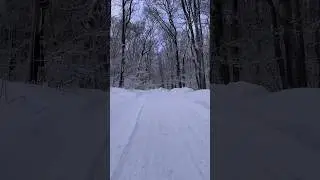 Russian winter #snow #winter #wood