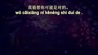 Chinese Listening Drills While You Sleep - Part 16