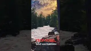Дала къобал саг1а  дойла х1орш вайгар🤲🏻