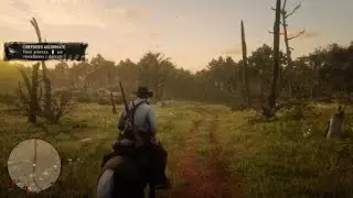 RDR2 - Pettirosso Americano / American Robin Location