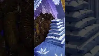 Дом Деда Мороза в Великом Устюге. Сказка для детей и взрослых🎄🎅🏻