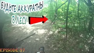 Тип выскочил из кустов☺#IRBISTTR125 #JMCYX140