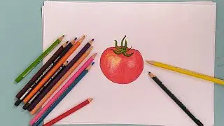 Easy tomato 🍅 drawing || How to draw tomato||