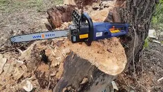 Электропила WinTech WCS-2000 в работе. Длина кабеля более 100 м.