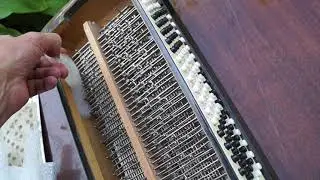MAH08489