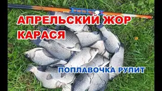 НЕ КЛЕВАЛО, а потом как ПОПЕРЛО! ЖОР КРУПНОГО карася в апреле