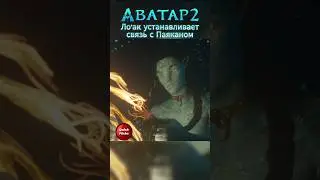Лоак устанавливает связь с Паяканом. Аватар 2: Путь воды #shorts #фильм #моменты #аватар #аватар2