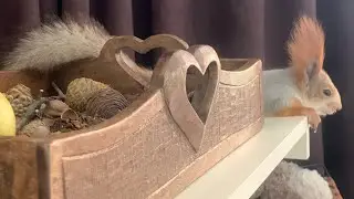Пока шли с Белкой домой Нас поймали соседи😂 