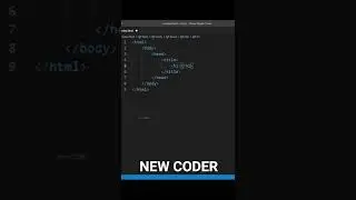 New coder vs Pro coder||2022||