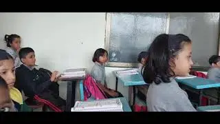 Roots Absorption of Water | Grade 3rd E state | Science Activity | Teacher's Mrs. Raut Supriya