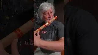 Музыка флейты бансури #флейта #music #bansuri