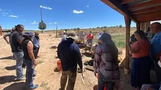 Indigenous Food Sovereignty in the Four Corners