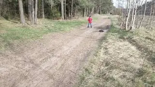 Лесные покатушки