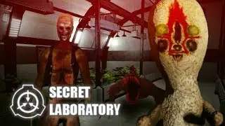 SCP: The New Year's Secret. (Lab)