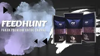 FEEDHUNT MAGGOT BSF KERING PREMIUM