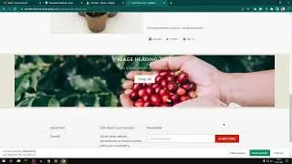 Shopify Debut Theme OS 2.0  Demo