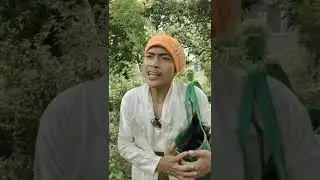 Anak durhaka