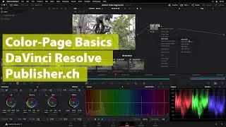 DaVinci Resolve Color-Page Basics - Publisher.ch