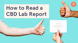 How to Read a CBD Lab Report
