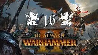 Total War: WARHAMMER II | 16 | Belagerung von Couronne | DerSteve