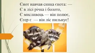 Стих про енота 