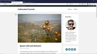 How to Redirect URL's in WordPress