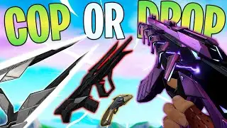 Araxys BUNDLE? | VALORANT COP or DROP?