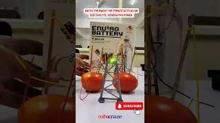 Enviro Battery Kit for tomatoes, apples and lemons!