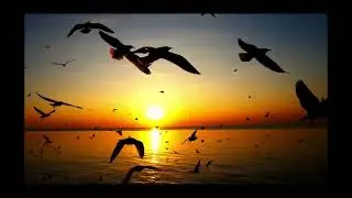 Heart touching Music with Beautiful scenes and nature of world