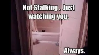 Just be watching you (Sub Español) 🔴LIVE🔴